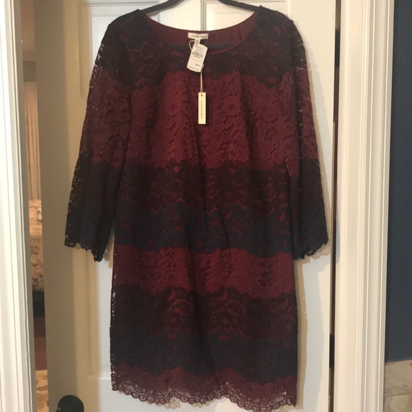 Beautiful ombré lace dress. - Picture 1 of 3